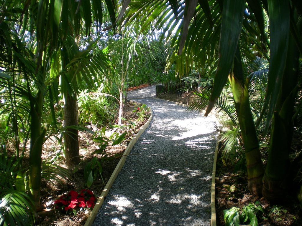 Whangamata Vistas B&B المظهر الخارجي الصورة