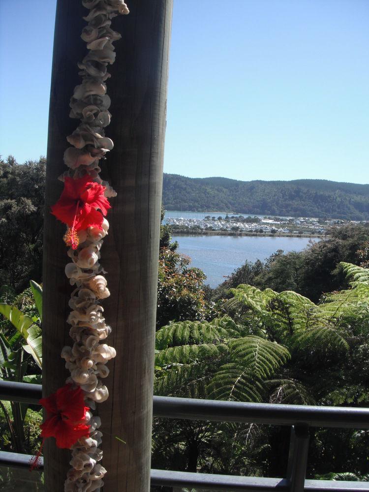 Whangamata Vistas B&B المظهر الخارجي الصورة
